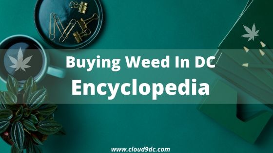 Buying Pot in DC Encyclopedia Banner