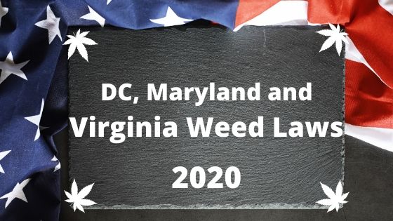 Washington DC Weed Laws Banner