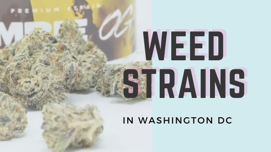 DC Weed Strains Banner