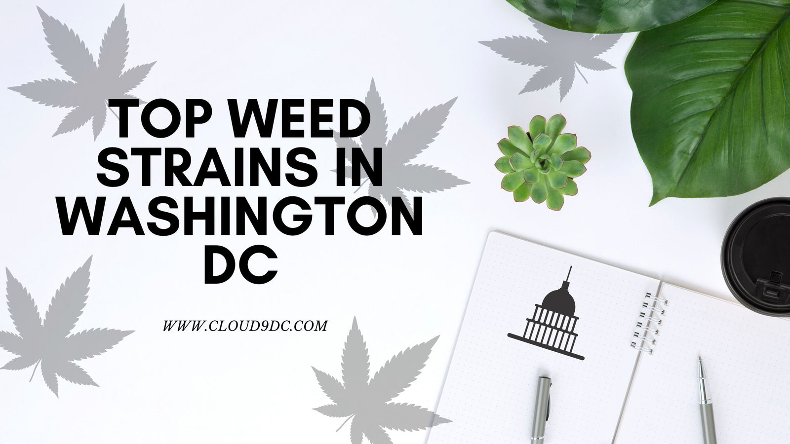 Washington DC Weed Banner