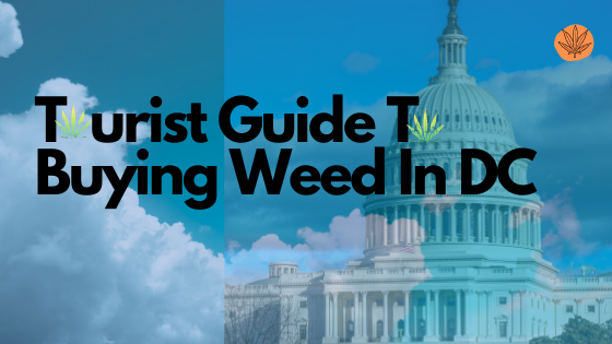 Where to Buy Weed in Washington DC