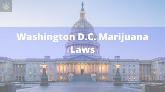Washington DC marijuana laws banner