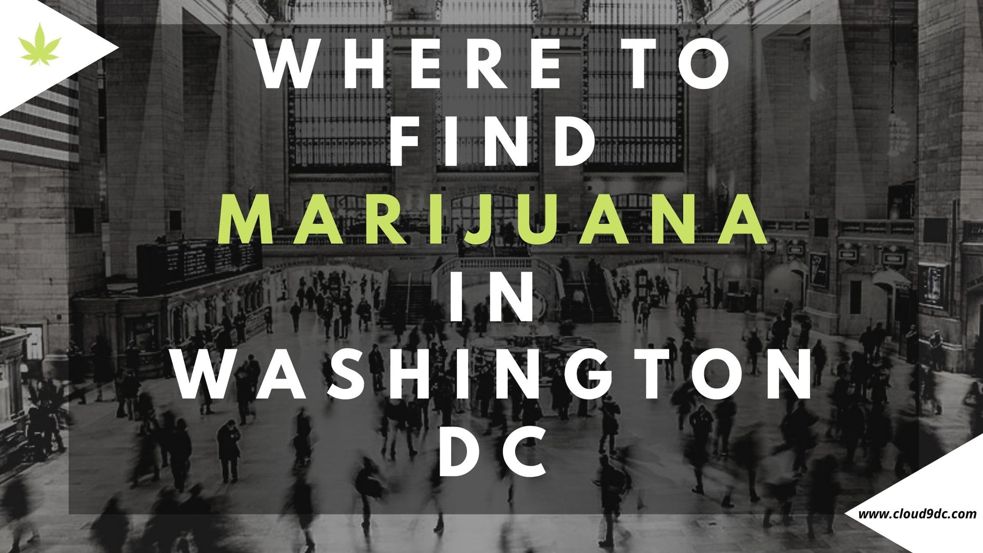 where to find marijuana in dc