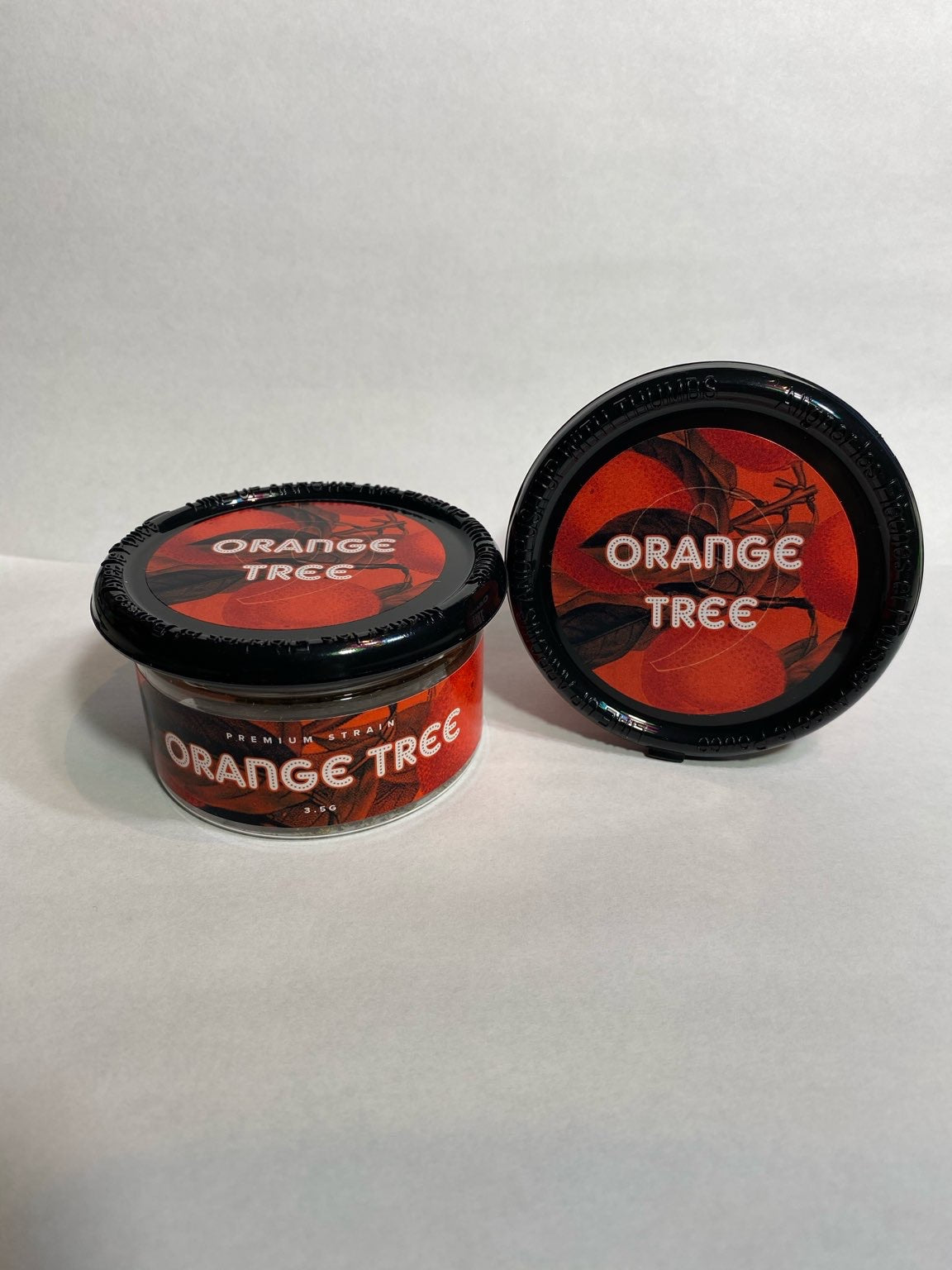 Orange Tree